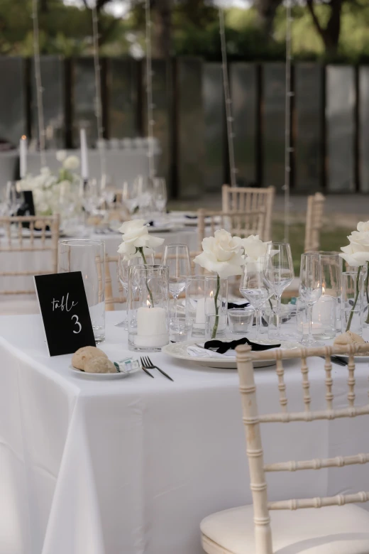 Lucia & Ross - image 11