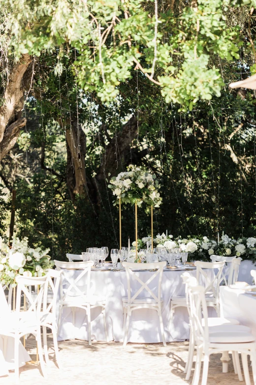 Laura & Michael - image 11